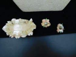 shell 3 pc set back